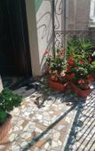 Туры в отель Hotel Mariana Туры в отель Hotel Mariana