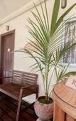 Туры в отель Luau Beach Inn Туры в отель Luau Beach Inn