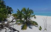 Туры в отель Luau Beach Inn Туры в отель Luau Beach Inn