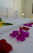 Туры в отель Luau Beach Inn Туры в отель Luau Beach Inn