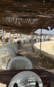Туры в отель Fanara Apartments Armed Forces Туры в отель Fanara Apartments Armed Forces