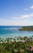 Туры в отель Grand Paradise Samana Туры в отель Grand Paradise Samana