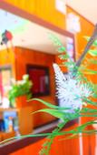 Туры в отель PhuTubkaek View House Туры в отель PhuTubkaek View House