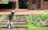 Туры в отель Sigiriya Lodge - Hostel Туры в отель Sigiriya Lodge - Hostel