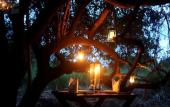 Туры в отель Sigiriya Lodge - Hostel Туры в отель Sigiriya Lodge - Hostel