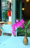 Туры в отель Si Phum Heritage Boutique Chiang Mai Туры в отель Si Phum Heritage Boutique Chiang Mai