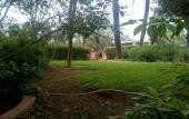 Туры в отель In Club Palmeraie Resort Туры в отель In Club Palmeraie Resort