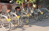 Туры в отель Hotel M Chiang Mai Туры в отель Hotel M Chiang Mai