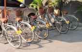 Туры в отель Hotel M Chiang Mai Туры в отель Hotel M Chiang Mai