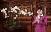 Туры в отель Hotel Ciputra Semarang managed by Swiss-Belhotel International Туры в отель Hotel Ciputra Semarang managed by Swiss-Belhotel International