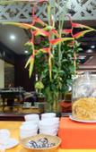 Туры в отель Star Hotel Chiang Mai Туры в отель Star Hotel Chiang Mai