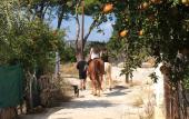 Туры в отель Perivoli Country Hotel & Retreat Туры в отель Perivoli Country Hotel & Retreat