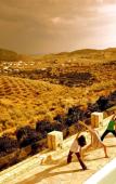 Туры в отель Perivoli Country Hotel & Retreat Туры в отель Perivoli Country Hotel & Retreat