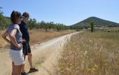 Туры в отель Perivoli Country Hotel & Retreat Туры в отель Perivoli Country Hotel & Retreat
