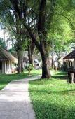 Туры в отель Al`s Hut Туры в отель Al`s Hut