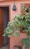 Туры в отель Riad Les Trois Palmiers El Bacha Туры в отель Riad Les Trois Palmiers El Bacha