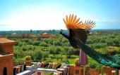 Туры в отель Riad Al Mendili Private Resort & Spa Туры в отель Riad Al Mendili Private Resort & Spa