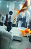 Туры в отель Vatan Hotel Туры в отель Vatan Hotel