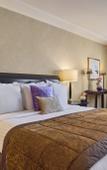 Туры в отель Warwick Champs-Elysees Paris Туры в отель Warwick Champs-Elysees Paris