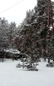 Туры в отель Centr Zagorodnogo Otdyha OOO Lukomorye Resort Туры в отель Centr Zagorodnogo Otdyha OOO Lukomorye Resort