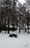 Туры в отель Centr Zagorodnogo Otdyha OOO Lukomorye Resort Туры в отель Centr Zagorodnogo Otdyha OOO Lukomorye Resort