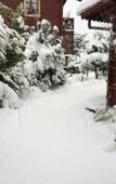 Туры в отель Agva Himalaya Motel Туры в отель Agva Himalaya Motel
