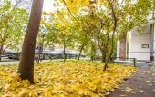 Туры в отель Funny Dolphins Apartments Kurskaya Туры в отель Funny Dolphins Apartments Kurskaya