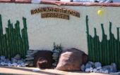 Туры в отель BADLADZ Beach and Dive Resort Туры в отель BADLADZ Beach and Dive Resort