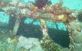 Туры в отель BADLADZ Beach and Dive Resort Туры в отель BADLADZ Beach and Dive Resort