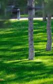 Туры в отель Agacli Hotel Туры в отель Agacli Hotel
