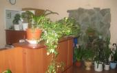 Туры в отель On Kuznechnaya Street Mini-Hotel Туры в отель On Kuznechnaya Street Mini-Hotel