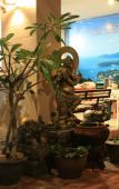Туры в отель Phuket Racha at Kata Homestay Туры в отель Phuket Racha at Kata Homestay