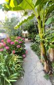 Туры в отель Olga Guest House Туры в отель Olga Guest House