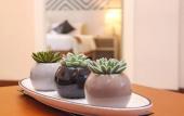 Туры в отель Kristal Hotel Kupang Туры в отель Kristal Hotel Kupang