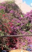 Туры в отель Hotel Riad le Lieu Туры в отель Hotel Riad le Lieu