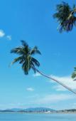 Туры в отель Samui Emerald Condotel Туры в отель Samui Emerald Condotel