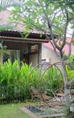Туры в отель Kubuku Eco Dive Lodge & Yoga Туры в отель Kubuku Eco Dive Lodge & Yoga
