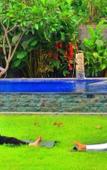 Туры в отель Kubuku Eco Dive Lodge & Yoga Туры в отель Kubuku Eco Dive Lodge & Yoga