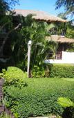 Туры в отель Tamarina Resort Arng Sila Туры в отель Tamarina Resort Arng Sila