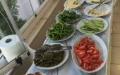 Туры в отель Adali Pansiyon Туры в отель Adali Pansiyon