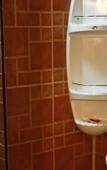 Туры в отель Star Guesthouse Туры в отель Star Guesthouse