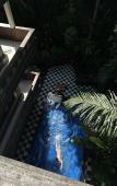 Туры в отель Bembengan Ubud Cottages Туры в отель Bembengan Ubud Cottages