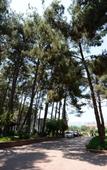 Туры в отель Arsan Hotel Туры в отель Arsan Hotel