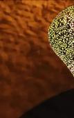 Туры в отель Riad Chayma - Adults Only Туры в отель Riad Chayma - Adults Only