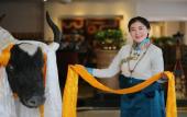 Туры в отель Xizang Hotel Chengdu Туры в отель Xizang Hotel Chengdu