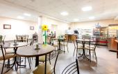 Туры в отель Dubki Hotel Туры в отель Dubki Hotel