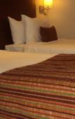 Туры в отель Fortune Select Exotica, Navi Mumbai - Member ITC Hotels' Group Туры в отель Fortune Select Exotica, Navi Mumbai - Member ITC Hotels' Group