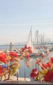 Туры в отель Urla Pera Hotel Туры в отель Urla Pera Hotel