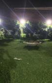 Туры в отель Crystal Inn Туры в отель Crystal Inn