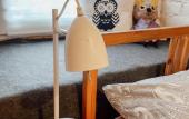 Туры в отель Sova Hostel Туры в отель Sova Hostel